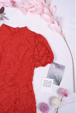 Mandarin Collar Crochet Lace Overlay Dress (Red)